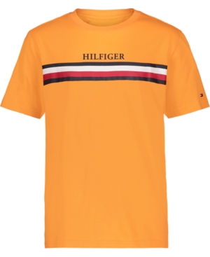 Little Boys Chest Global Stripe Shorts Sleeve Tee