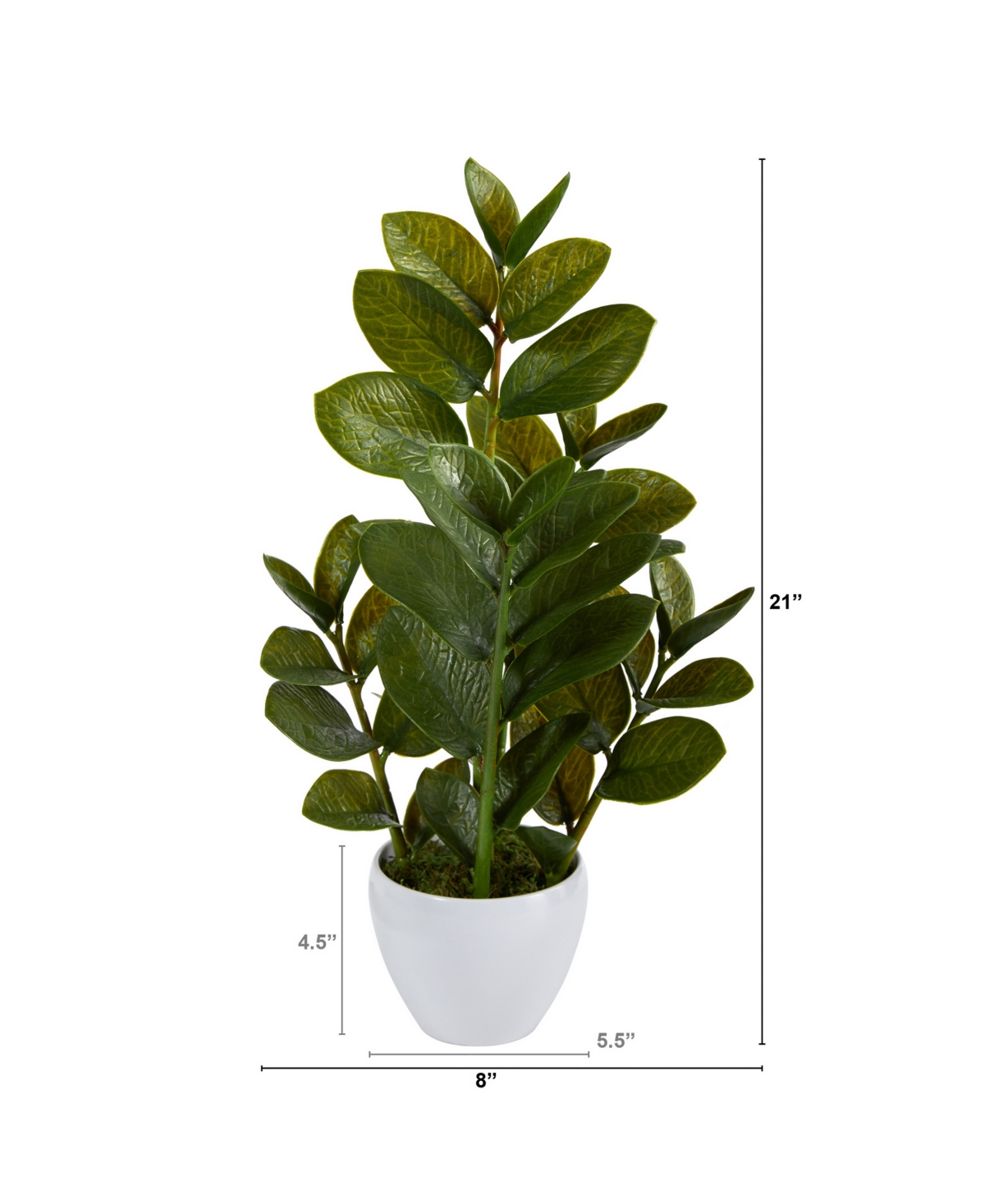 NEARLY NATURAL 22" ZAMIOCULCAS ARTIFICIAL PLANT IN PLANTER 