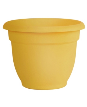 Bloem Ariana Self Watering 12