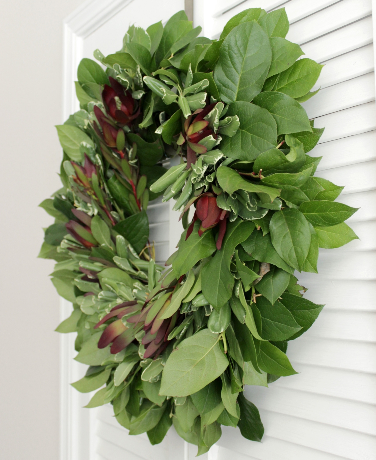Magnolia Supply Co Fresh Lemon Leaf, Pittosporum And Safari Sunset Wreath, 20" In No Color