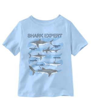 Hybrid Little Boys Shark Expert T-Shirt