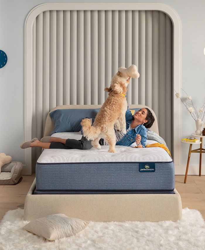 Serta Perfect Sleeper Renewed Night 14" Medium Firm Mattress Queen