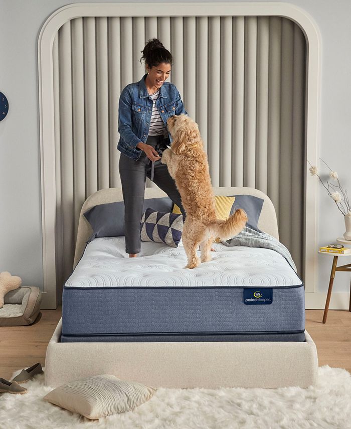 Serta Perfect Sleeper Renewed Night 14" Plush Mattress King Macy's