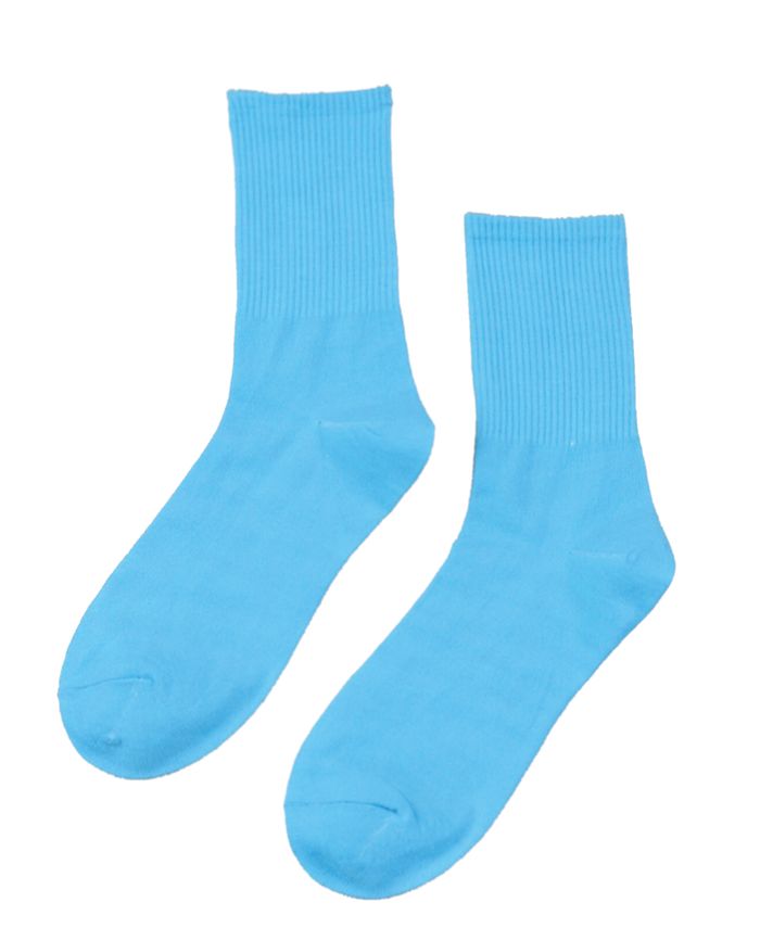 Stems Women's Color Pop Ribbed Crew Sock, 1 Pair & Reviews - Shop Socks ...