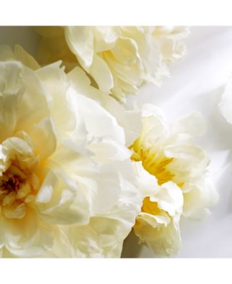 Michael Kors 3-Pc. Fragrance Gift Set