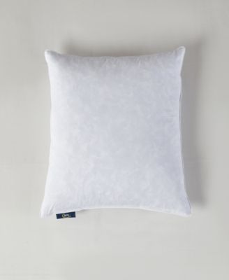 Feather Filled 2-Pack Pillow Inserts, 20" x 20"