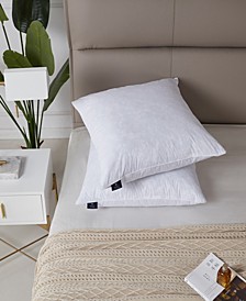 2-Piece Medium Firm Decorative Feather Pillow Insert Set, 20" x 20"