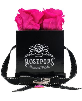Rosepops