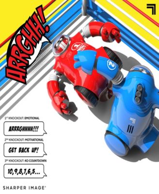 Robo Rage Remote Control Two-Player Robot Fighting Set