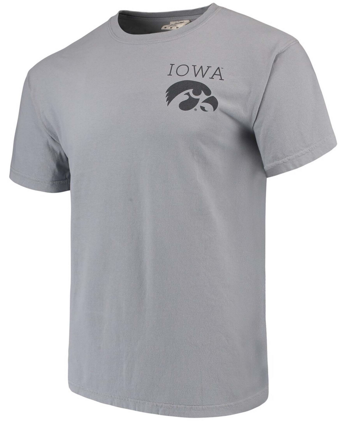 Men's Gray Iowa Hawkeyes Comfort Colors Campus Scenery T-shirt - Gray