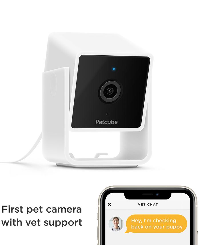 Petcube Smart HD Pet Camera Macy's