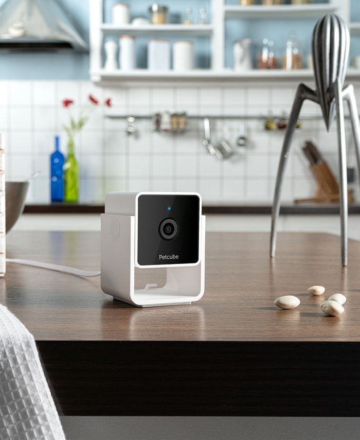 Petcube Smart HD Pet Camera Macy's