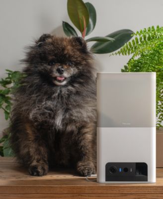 Petcube Bites 2 Lite Smart HD Pet Camera with Treat Dispenser
