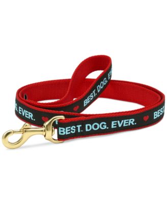Up Country - Graphic Dog Lead