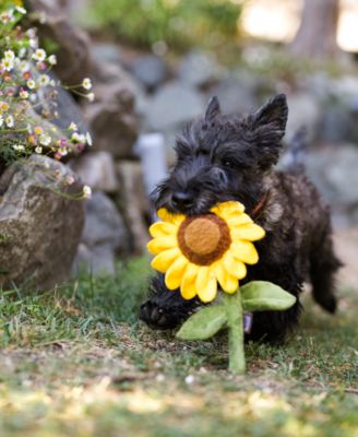 Blooming Buddies Collection: Sassy Sunflower