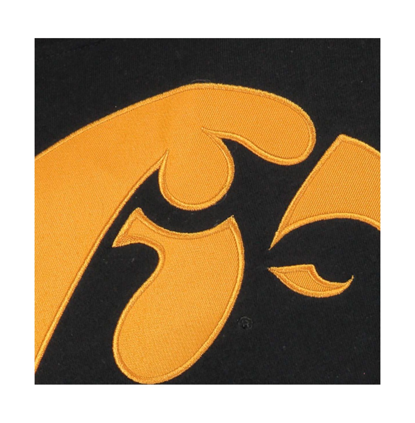 Худи Stadium Athletic Black Iowa Hawkeyes Big Logo Pullover для мальчиков — фото 4