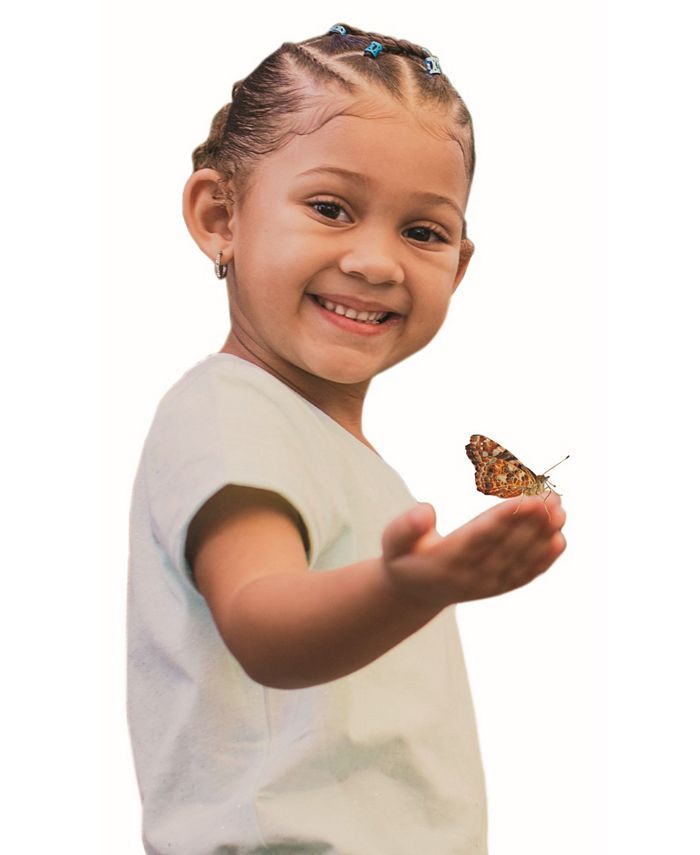 Insect Lore STEM Educational Butterfly Life Cycle Growing Kit Macy's