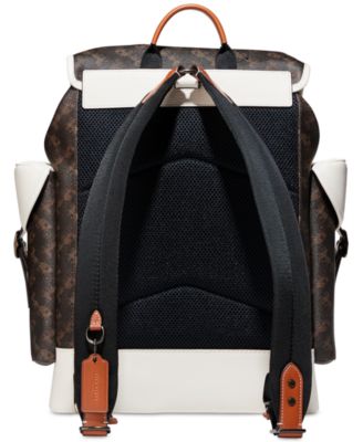 coach hitch backpack
