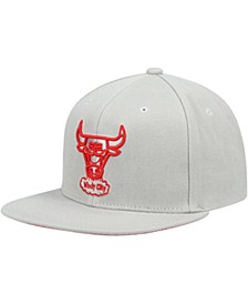 Men's Gray Chicago Bulls Hardwood Classics Tonal Snapback Hat