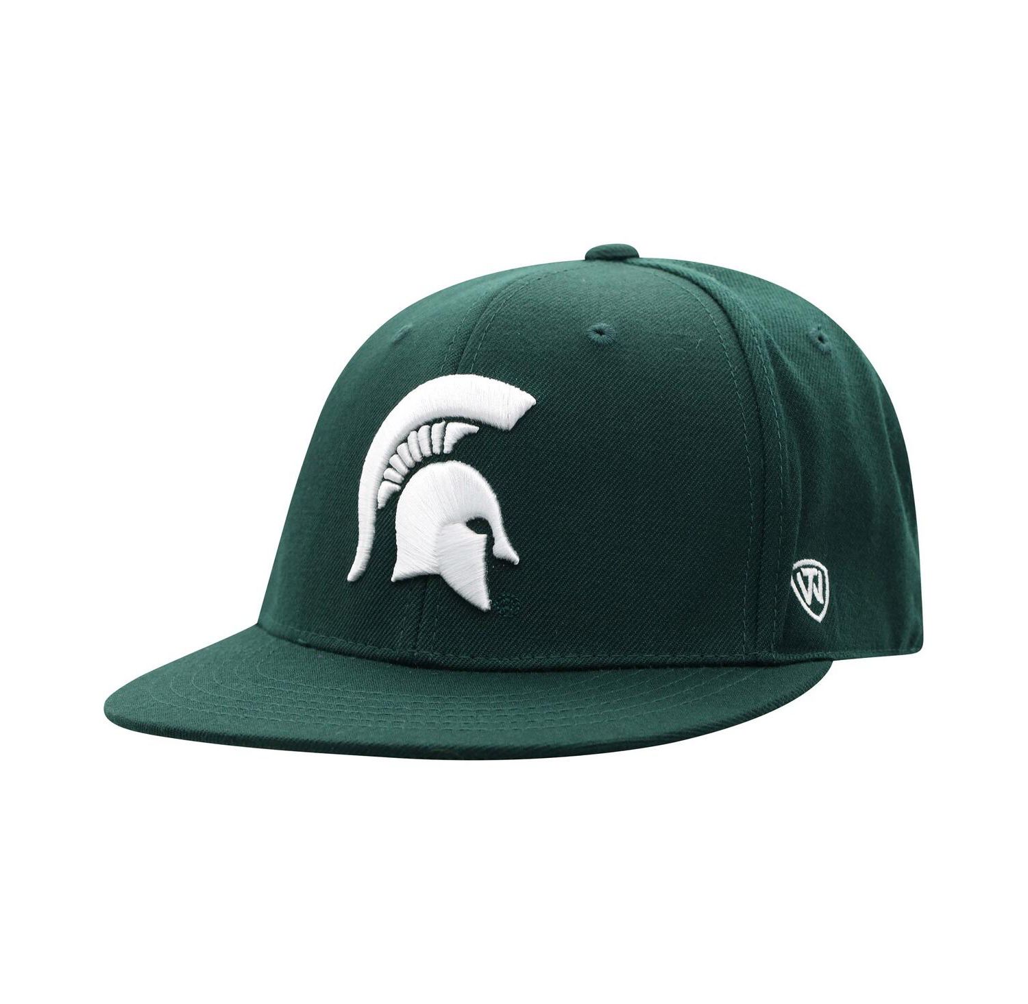 Men's Green Michigan State Spartans Team Color Fitted Hat