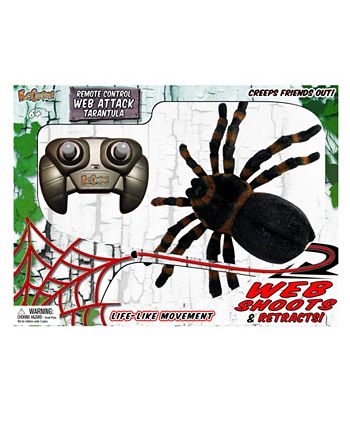 Web attack top rc tarantula