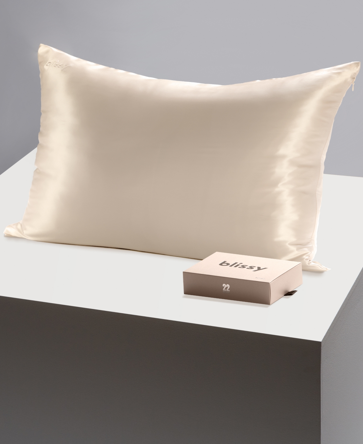 Shop Blissy 22-momme Silk Pillowcase, King In Champagne