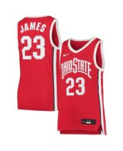 Nike Youth LeBron James Ohio State Buckeyes #23 Scarlet Replica Basketball  Jersey