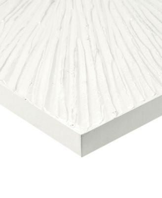 Sunburst Resin Dimensional Palm Box