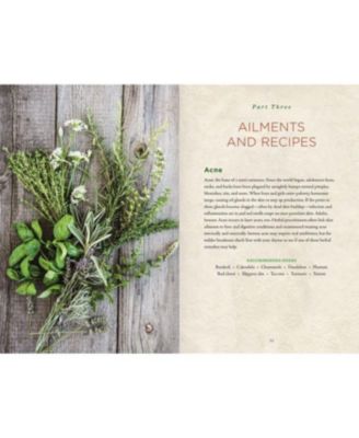 Healing Herbs Handbook - Recipes for Natural Living by Barbara Brownell Grogan