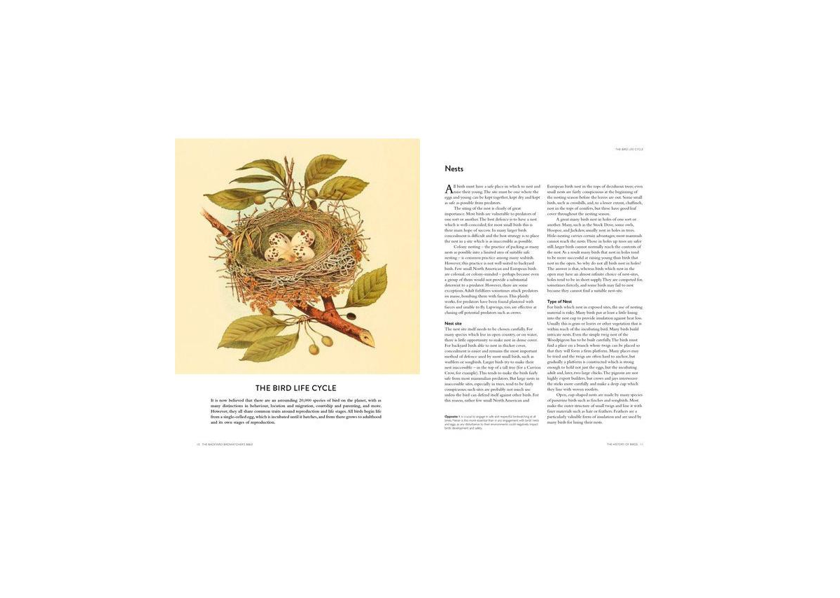 The Backyard Birdwatcher's Bible - Birds, Behaviors, Habitats, Identification, Art & Other Home Crafts by Paul Sterry
