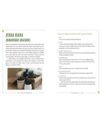 How to Houseplant - A Beginner's Guide to Making and Keeping Plant Friends by Heather Rodino