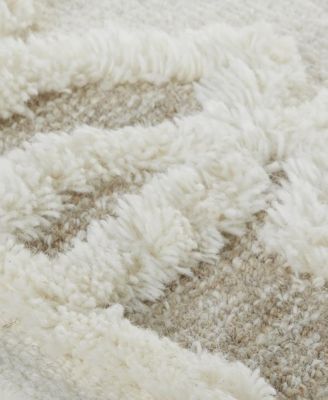 Anica R8011 4' x 6' Area Rug
