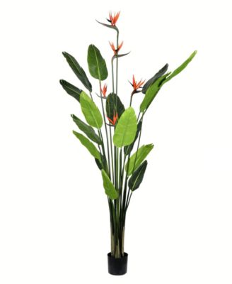 Vickerman