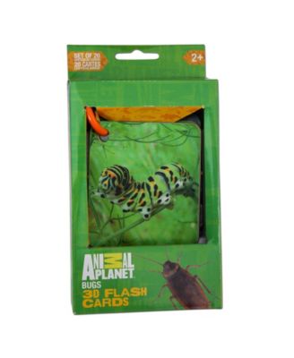 Smart Play Animal Planet 3D Flash Cards Set, Bugs, 20 Pieces