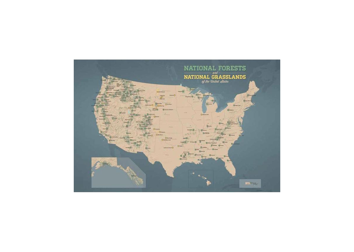 Our National Forests: Stories from America's Most Important Public Lands by Greg M. Peters