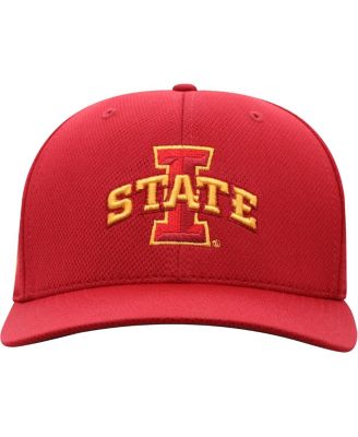 Men's Cardinal Iowa State Cyclones Reflex Logo Flex Hat