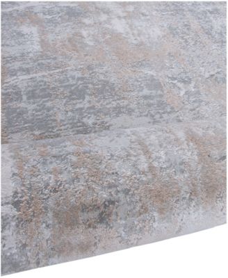 Alloy All342 5' x 8' Area Rug