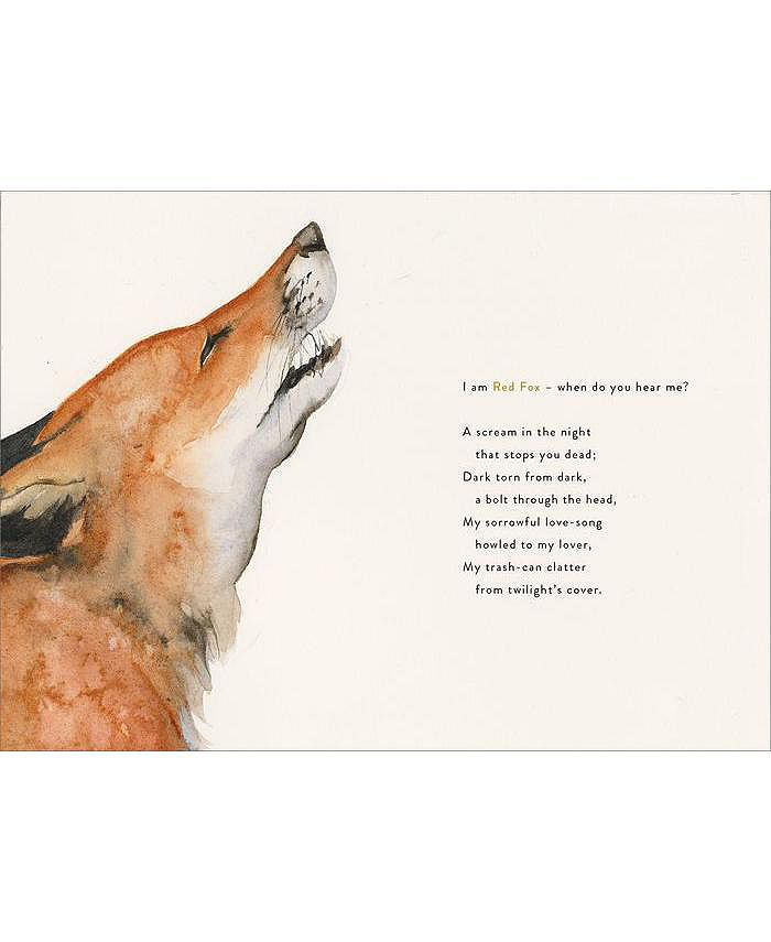 Barnes & Noble The Lost Spells by Robert Macfarlane Macy's