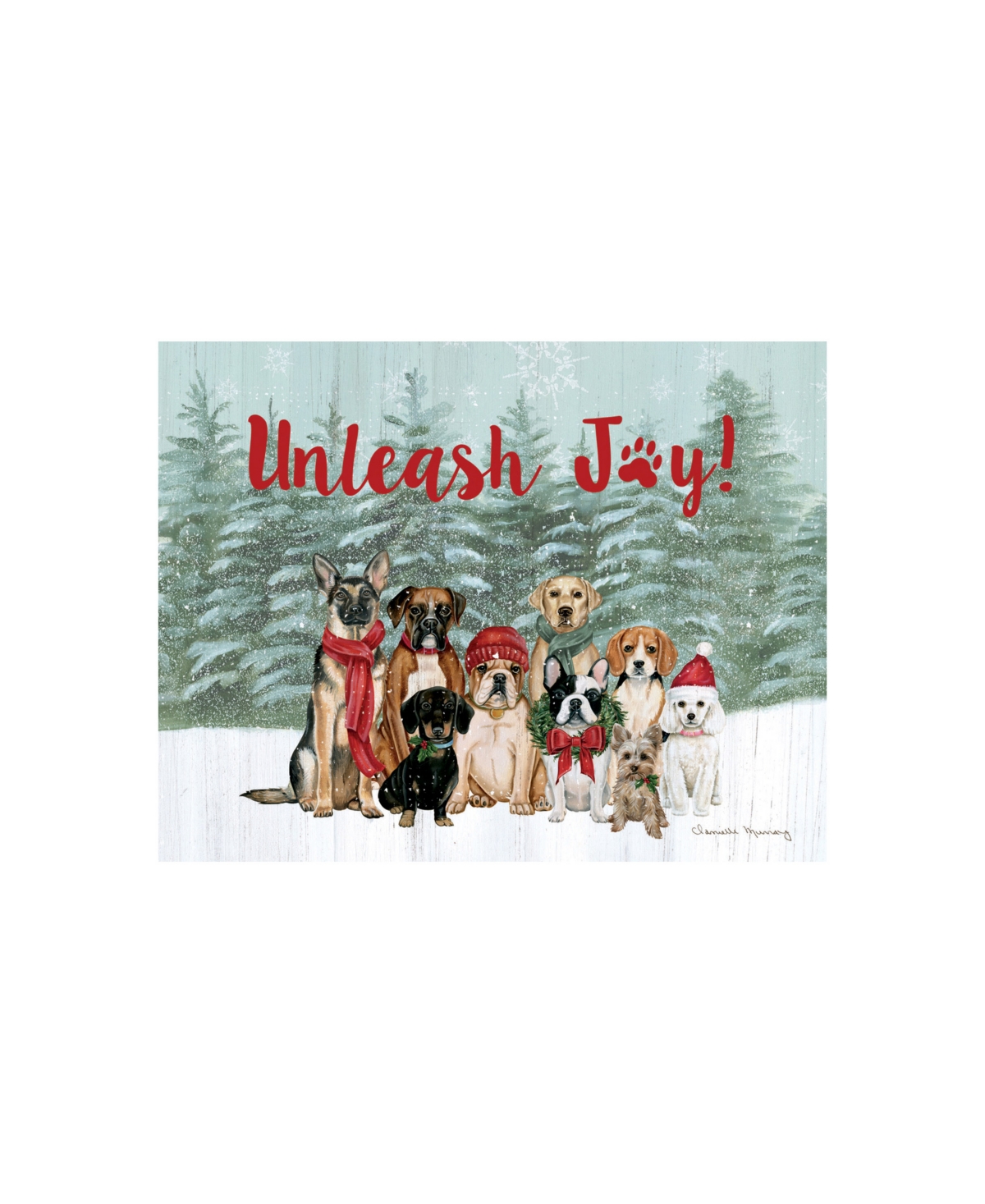 Unleash Joy Boxed Christmas Cards - Multi