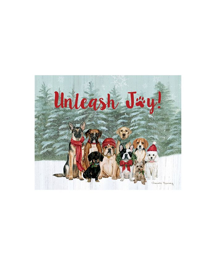Lang Unleash Joy Boxed Christmas Cards Macy