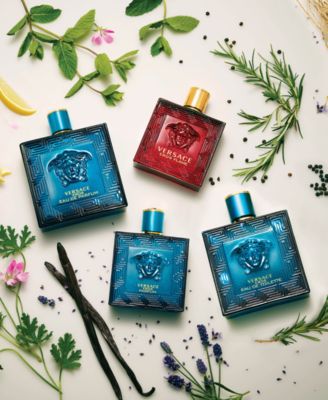 Versace Mens Eros Parfum Fragrance Collection In Transparent