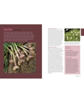 Rosemary Gladstar's Medicinal Herbs: A Beginner's Guide: 33 Healing Herbs to Know, Grow, and Use by Rosemary Gladstar