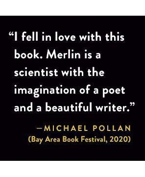 Entangled Life: How Fungi Make Our Worlds, Change Our Minds & Shape Our Futures by Merlin Sheldrake