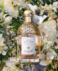Florabotanica macy's hot sale