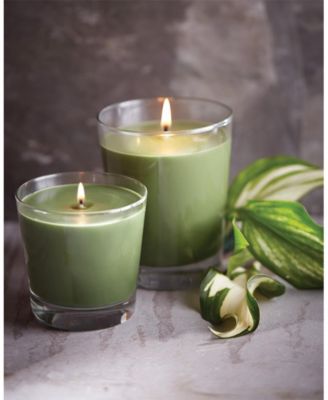 Large Veriglass Hosta Fragrance Jar Candle