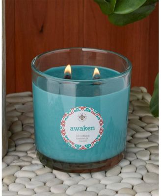 Seeking Balance 2 Wick Awaken Basil Lime Spa Jar Candle, 12 oz