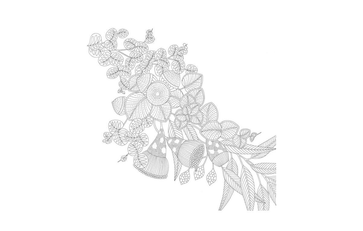 Millie Marotta's Woodland Wild by Millie Marotta