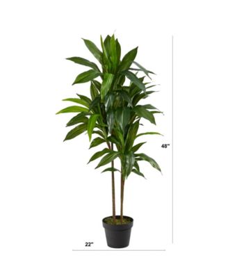 43" Dracaena Real Touch Plant 