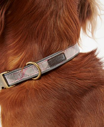 Barbour shop dog collars