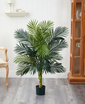 4' Golden Cane Palm Tree